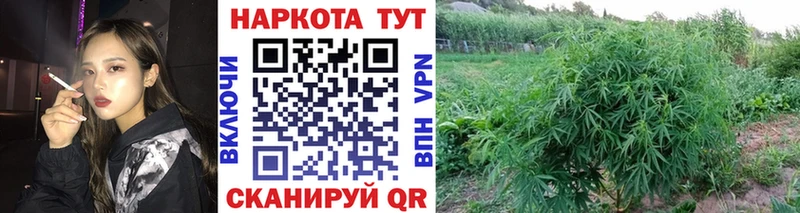 Купить закладку Конопля  Alpha PVP  Амфетамин  Меф  Бутурлиновка