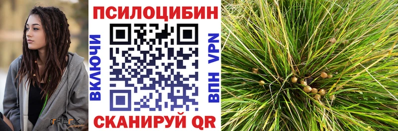 Купить закладки  Бутурлиновка  Галлюциногенные грибы прущие грибы 